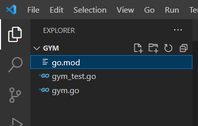go.mod file at the root 
