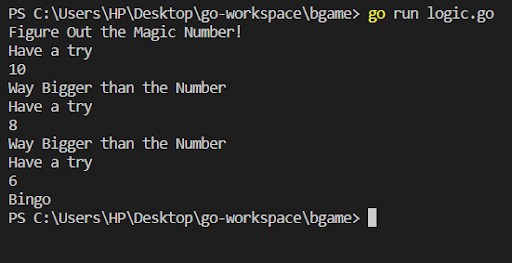 Run the Code in the Terminal