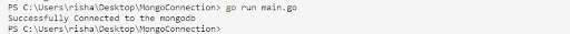 Code Execution in the Terminal